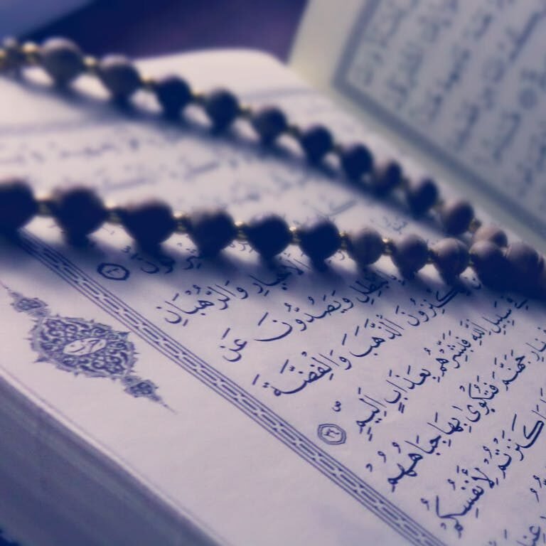 Quran courses